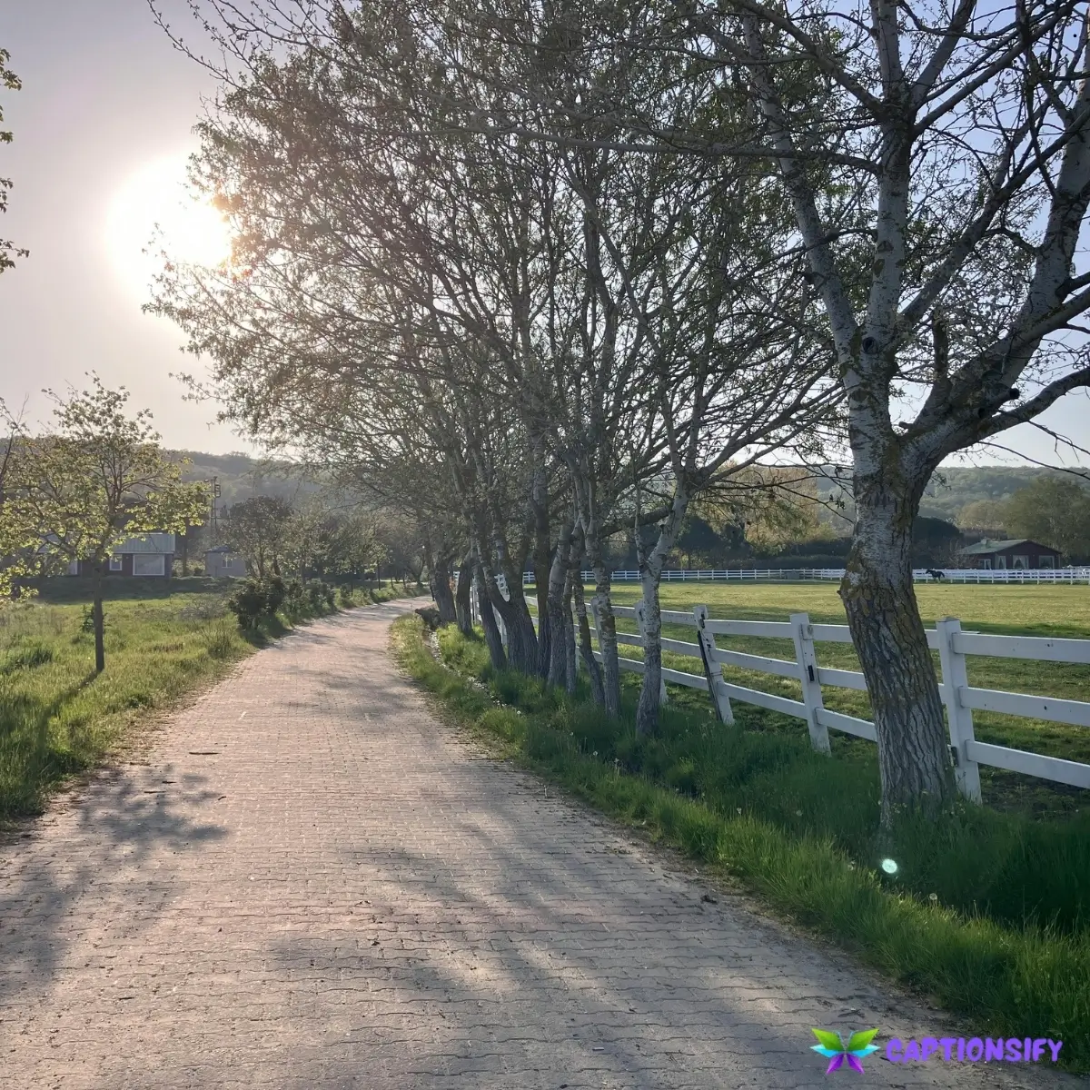 149 Short Country Instagram Captions That Celebrate Southern Charm and Spirit