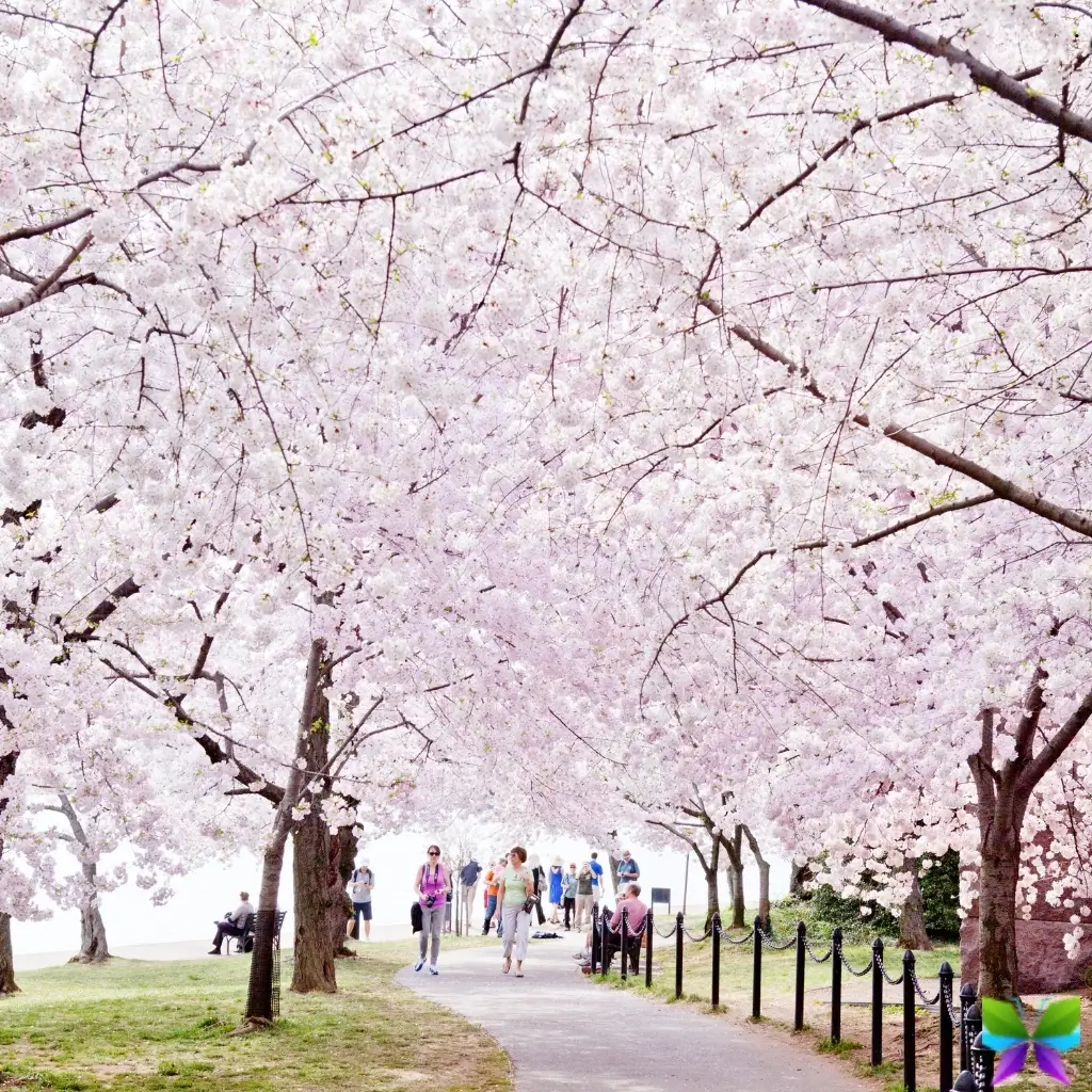 Spring Captions For Instagram