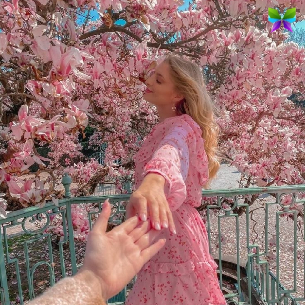 200+ Cherry Blossoms Captions for Instagram to Celebrate Nature's Beauty 12 Cherry Blossoms Captions for Instagram