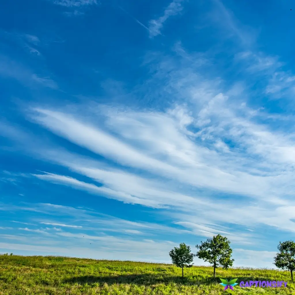 123 Beat Sky Captions For Instagram to Elevate Your Aesthetic Posts
