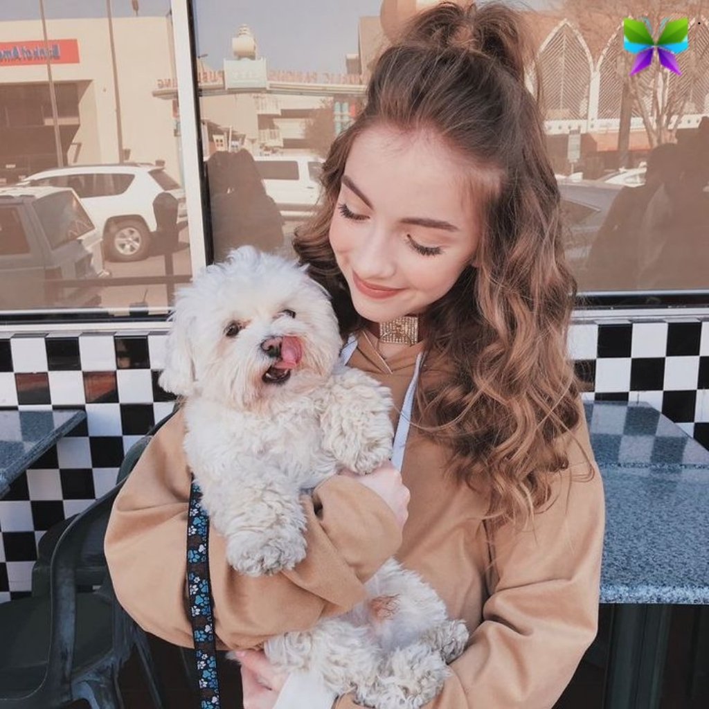 Dog Instagram Captions 1