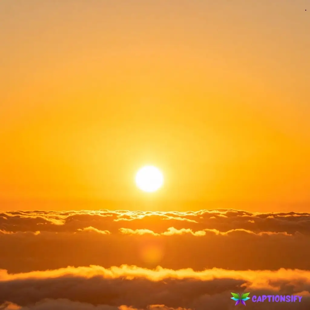129 Top Sun Captions For Instagram Perfect for Your Brightest Moments