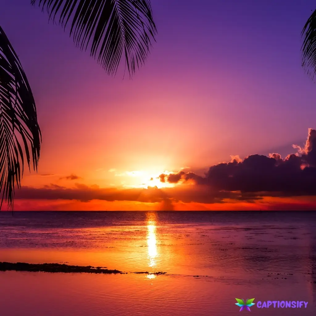 147 Best Sunset Captions For Instagram Perfect for Your Golden Hour Posts