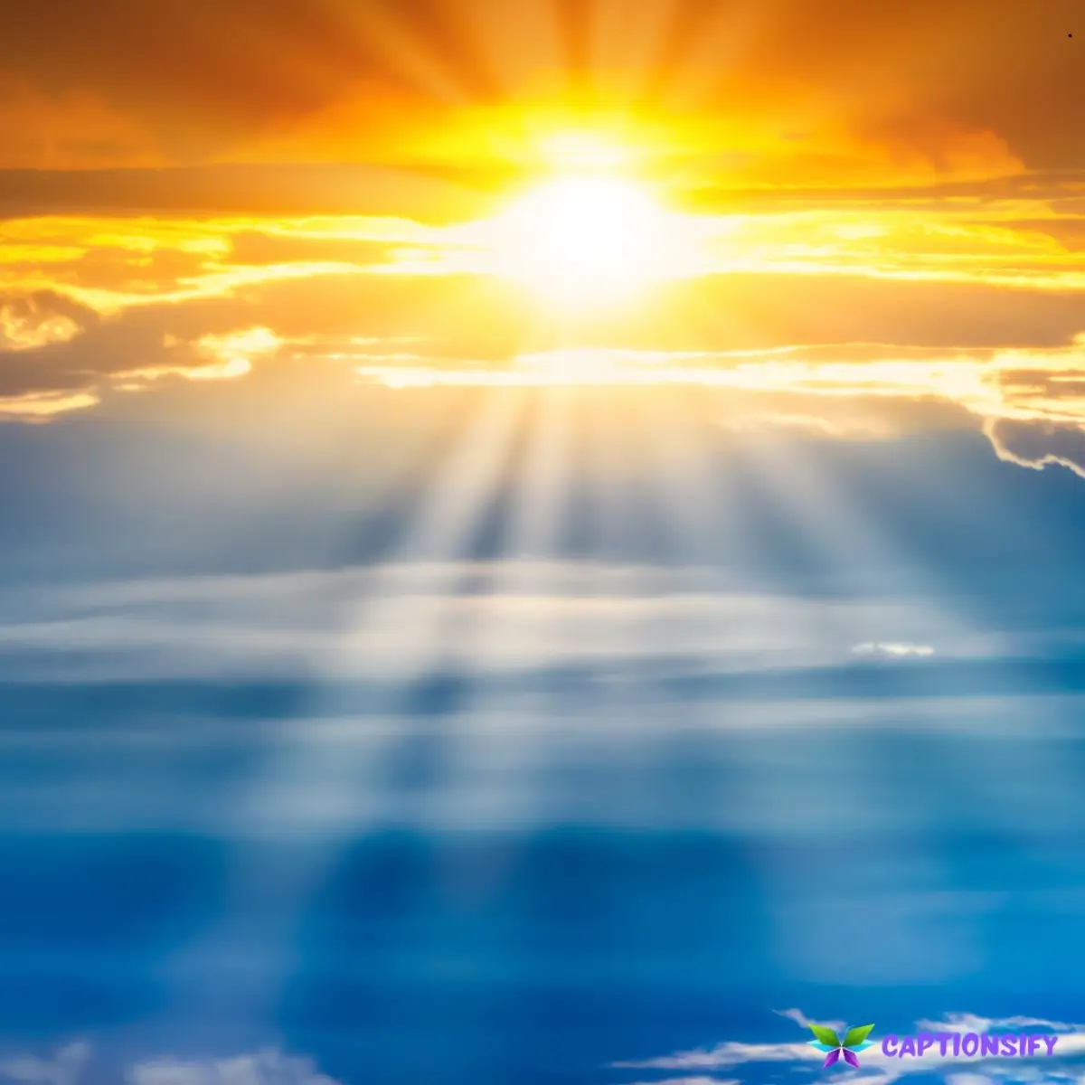 147 Best Sunshine Instagram Captions to Brighten Your Feed and Spread Joy