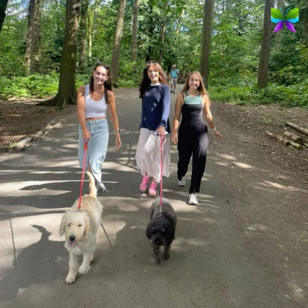Dog Walk Captions For Instagram