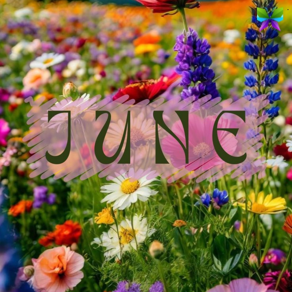 June Captions For Instagram