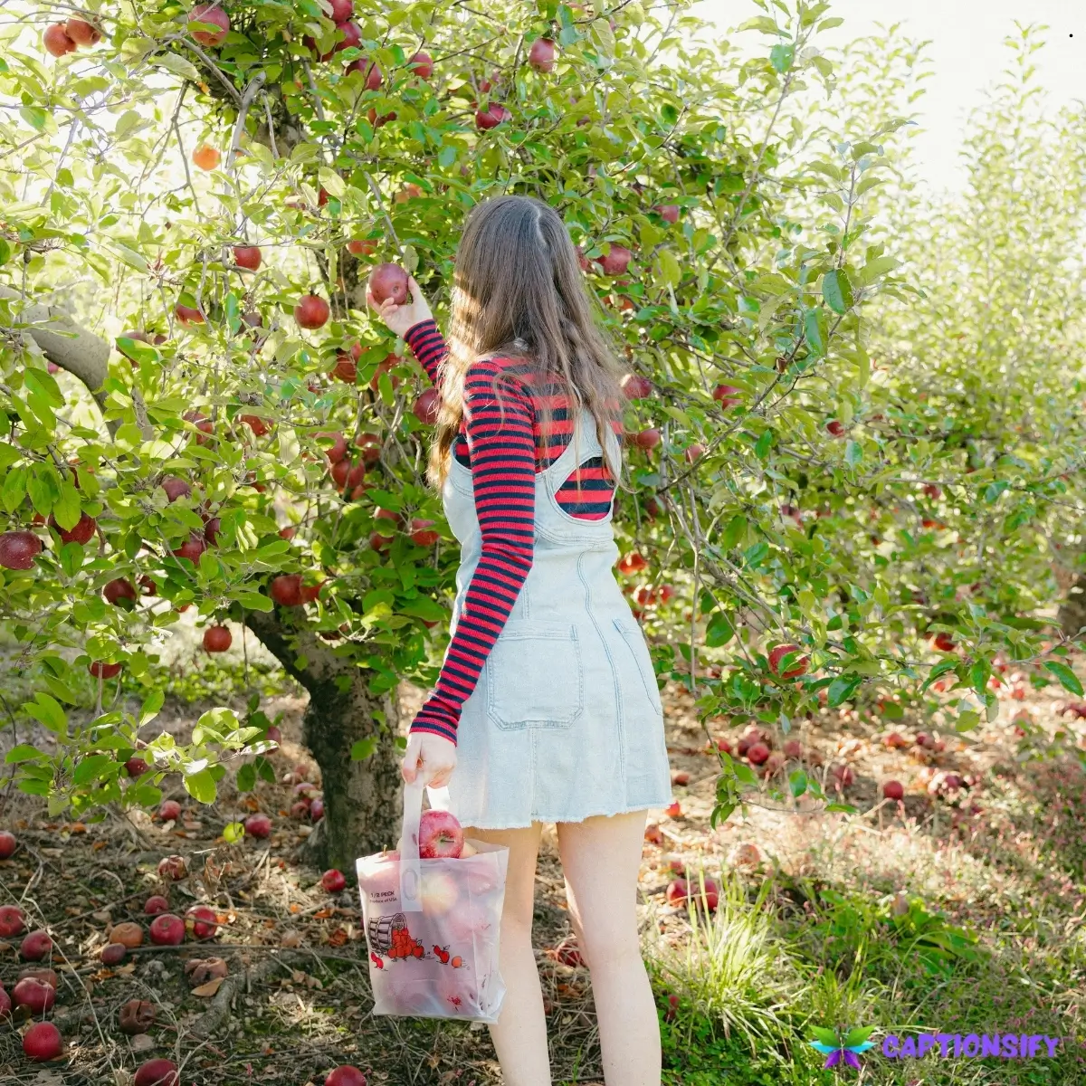 123 Best Apple Picking Instagram Captions for Fall Fun and Memories
