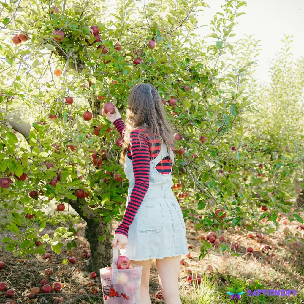 127 Top Apple Picking Captions For Instagram to Share Your Fun