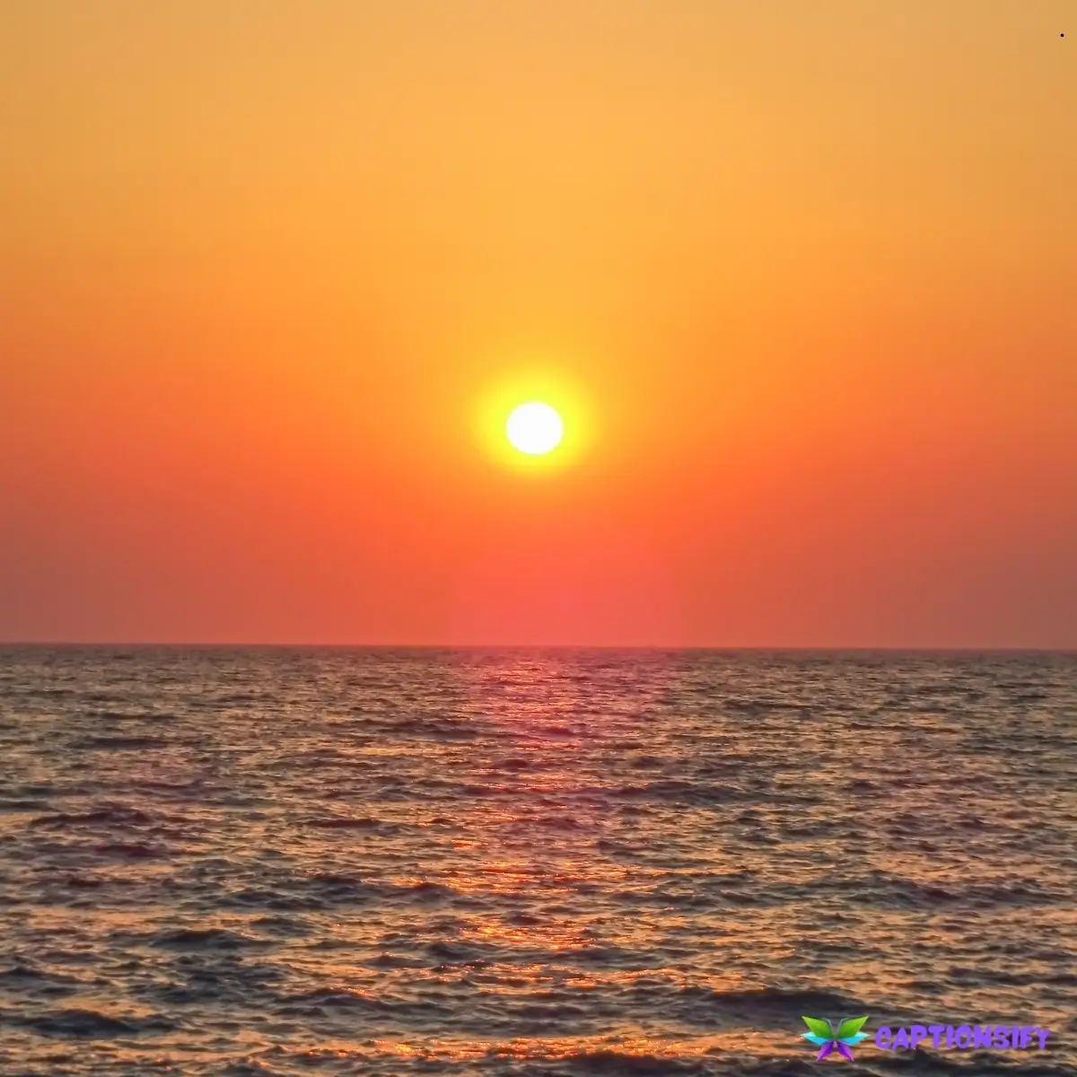 143 Simple Sunset Captions For Instagram to Brighten Your Feed