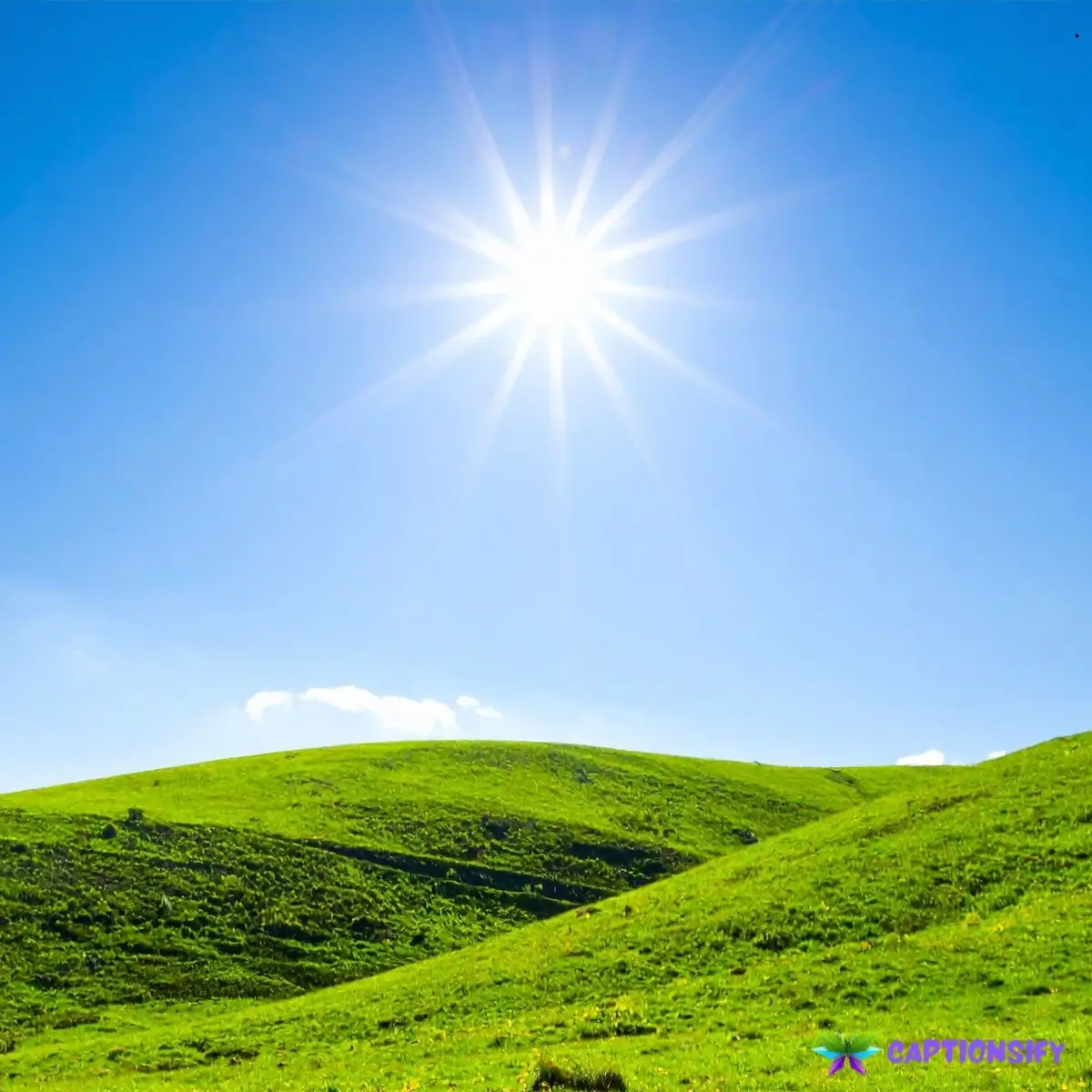 143 Top Sun Instagram Captions to Brighten Your Feed and Shine All Day