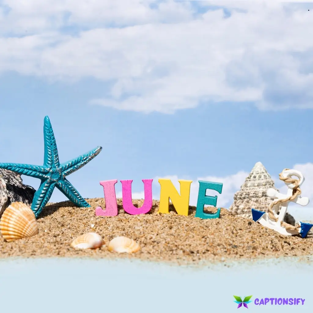 125 Best June Captions For Instagram to Celebrate Summer Vibes