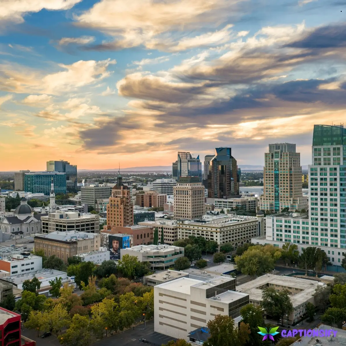 135 Best Cali Captions for Instagram to Brighten Your Feed with Sunshine Vibes