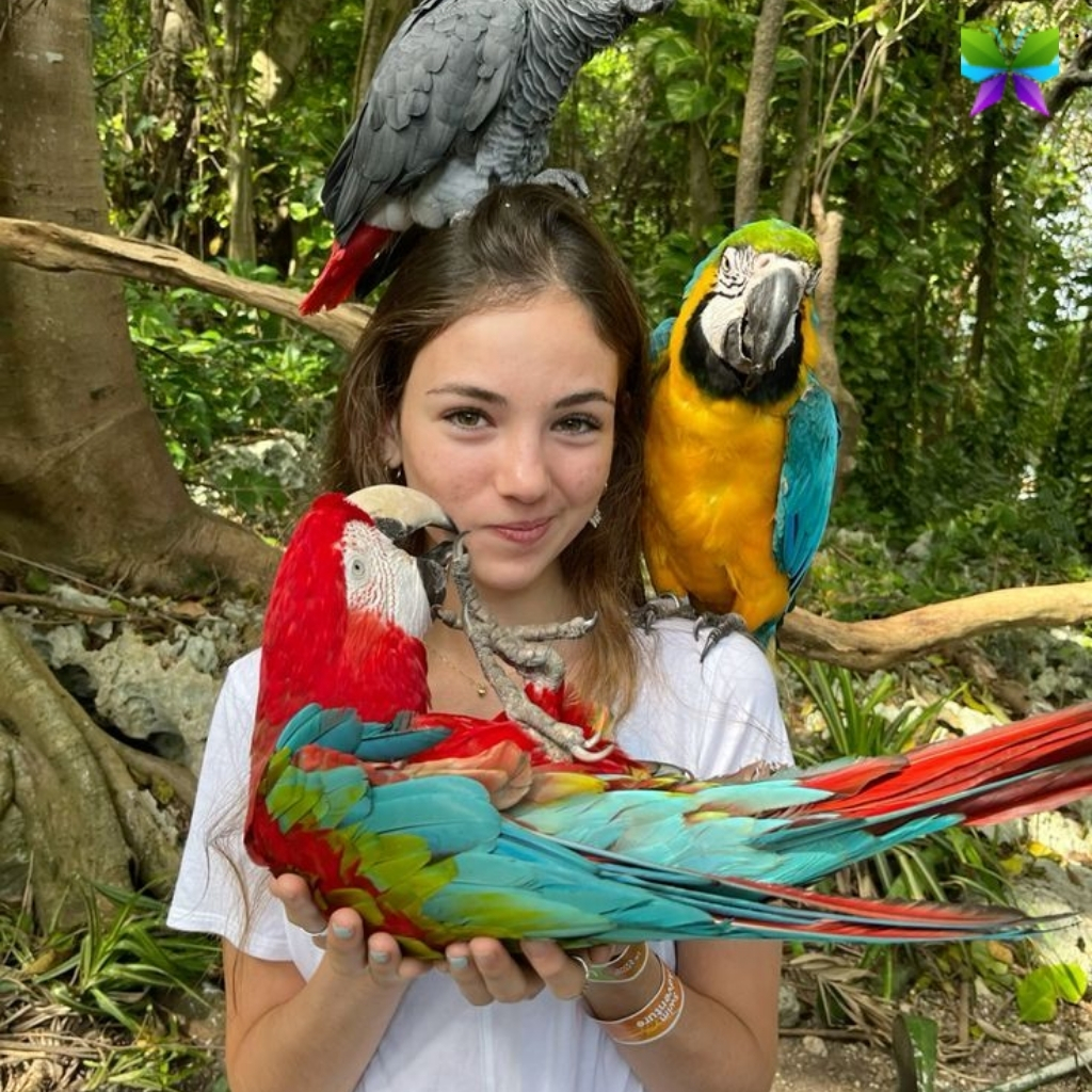 Bird Captions For Instagram
