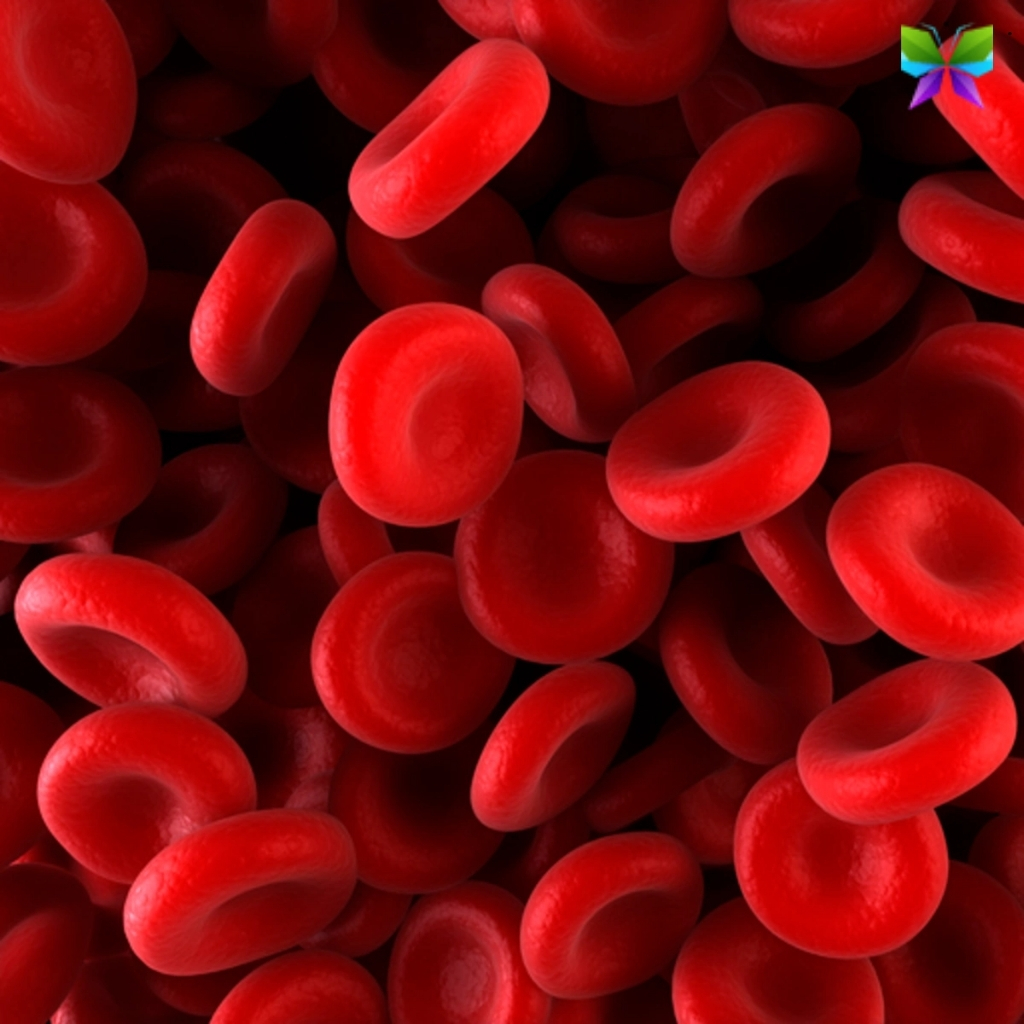 Blood Captions For Instagram