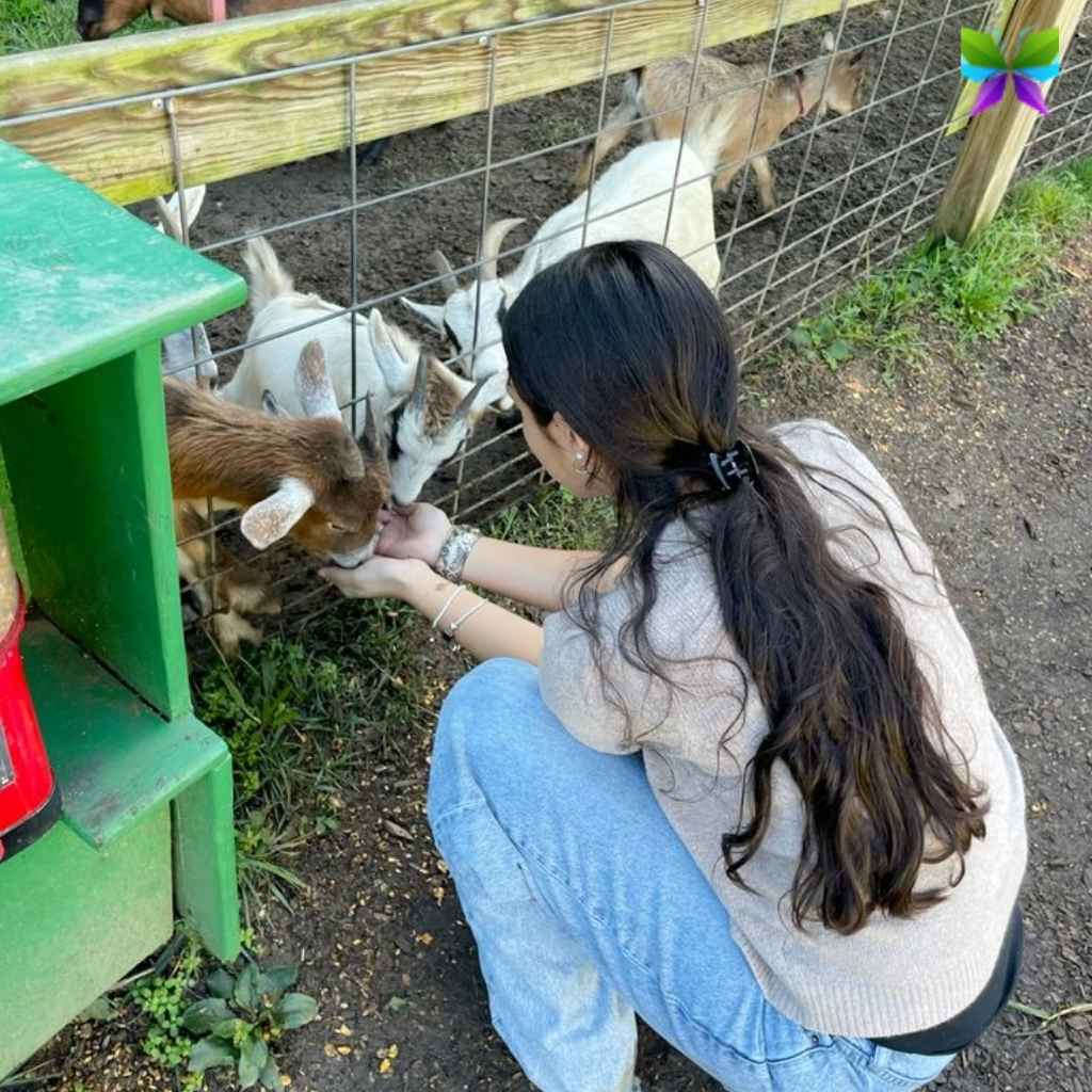 Farm Captions For Instagram