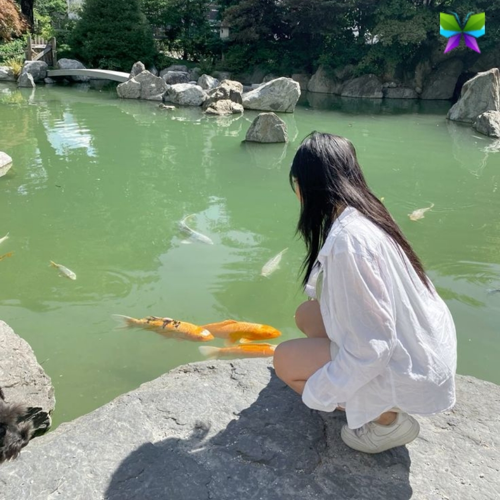 Fish Instagram Captions
