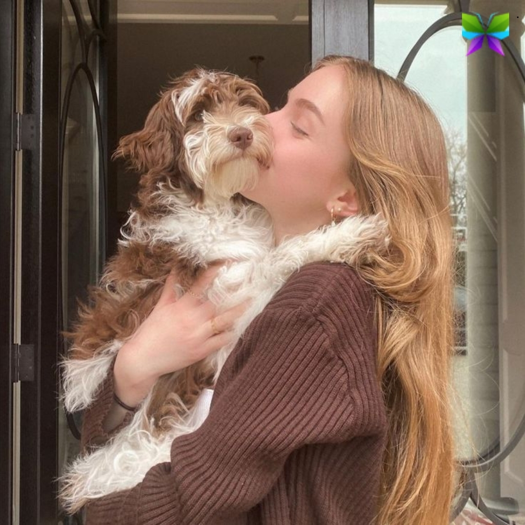 Insta Short Dog Captions For Instagram