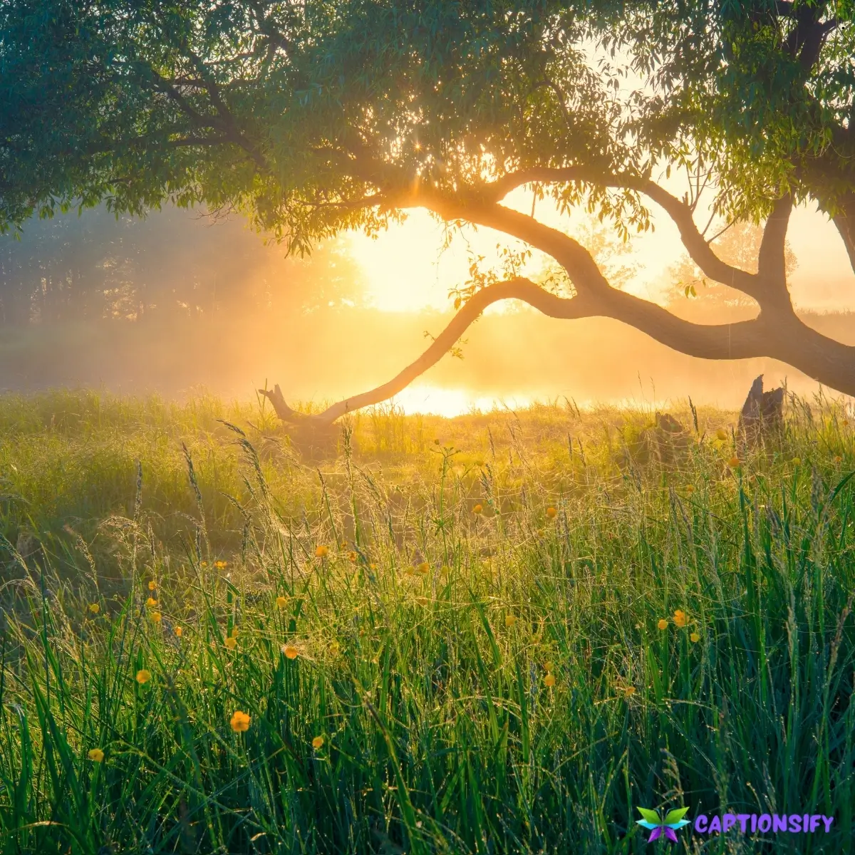 123 Best Natural Instagram Caption Ideas for Your Perfect Posts