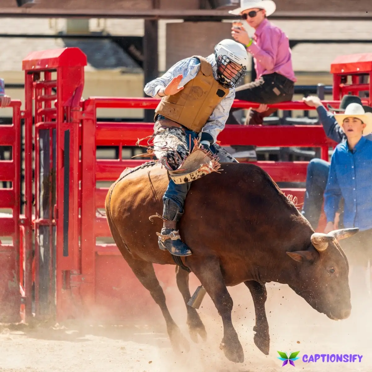 125 Top Bull Riding Captions For Instagram to Amp Up Your Posts