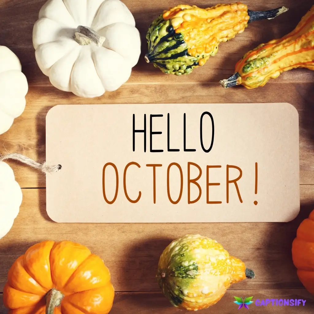 129 Top October Captions For Instagram to Boost Your Posts