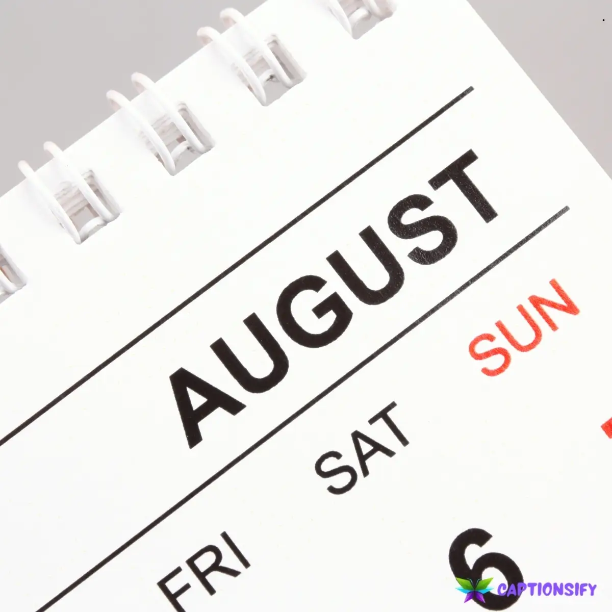 137 Top August Instagram Captions for Your Perfect Summer Posts