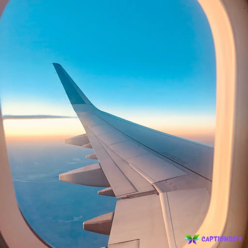 139 Best Fly Captions For Instagram That Will Elevate Your Posts