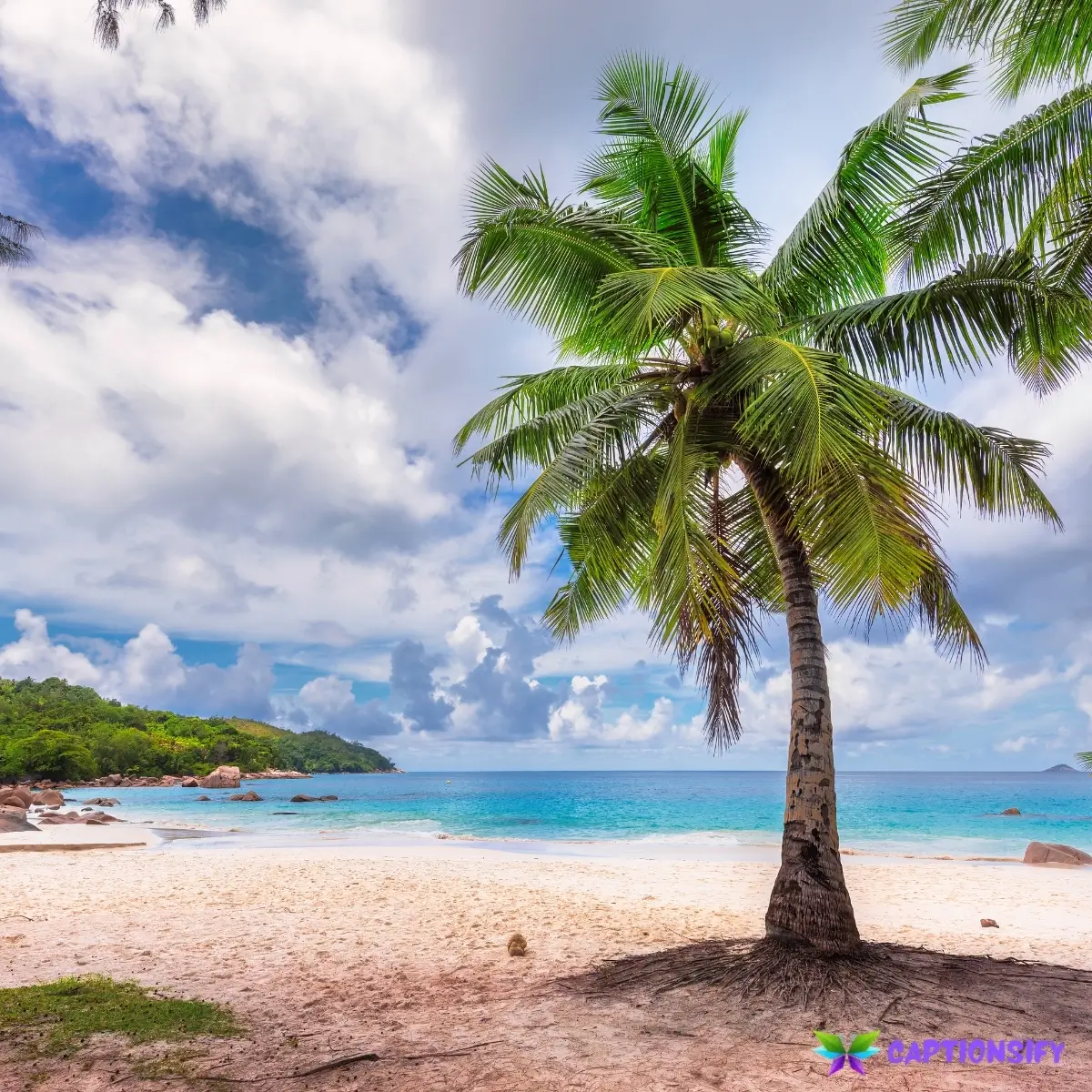 143 Best Summer Instagram Captions Funny for Your Best Posts