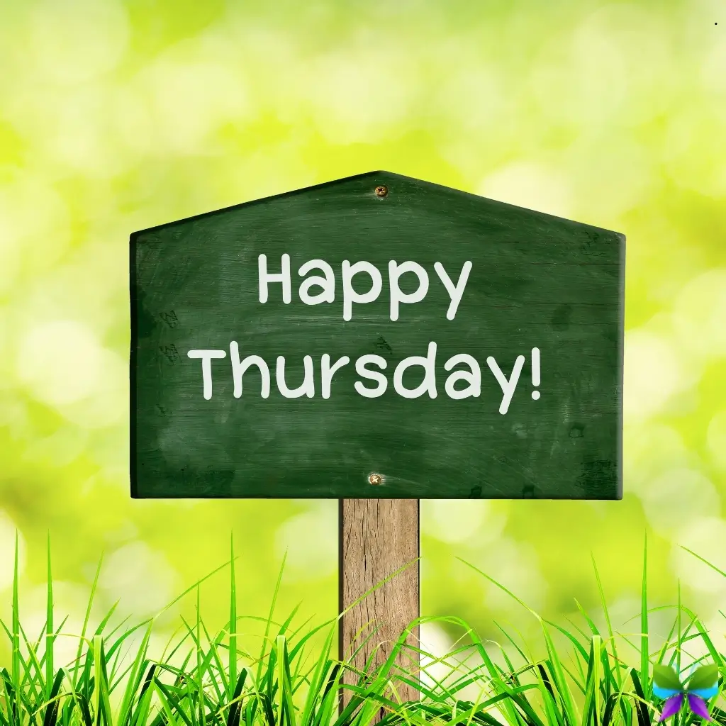 147+ Thursday Captions For Instagram to Brighten Your Day