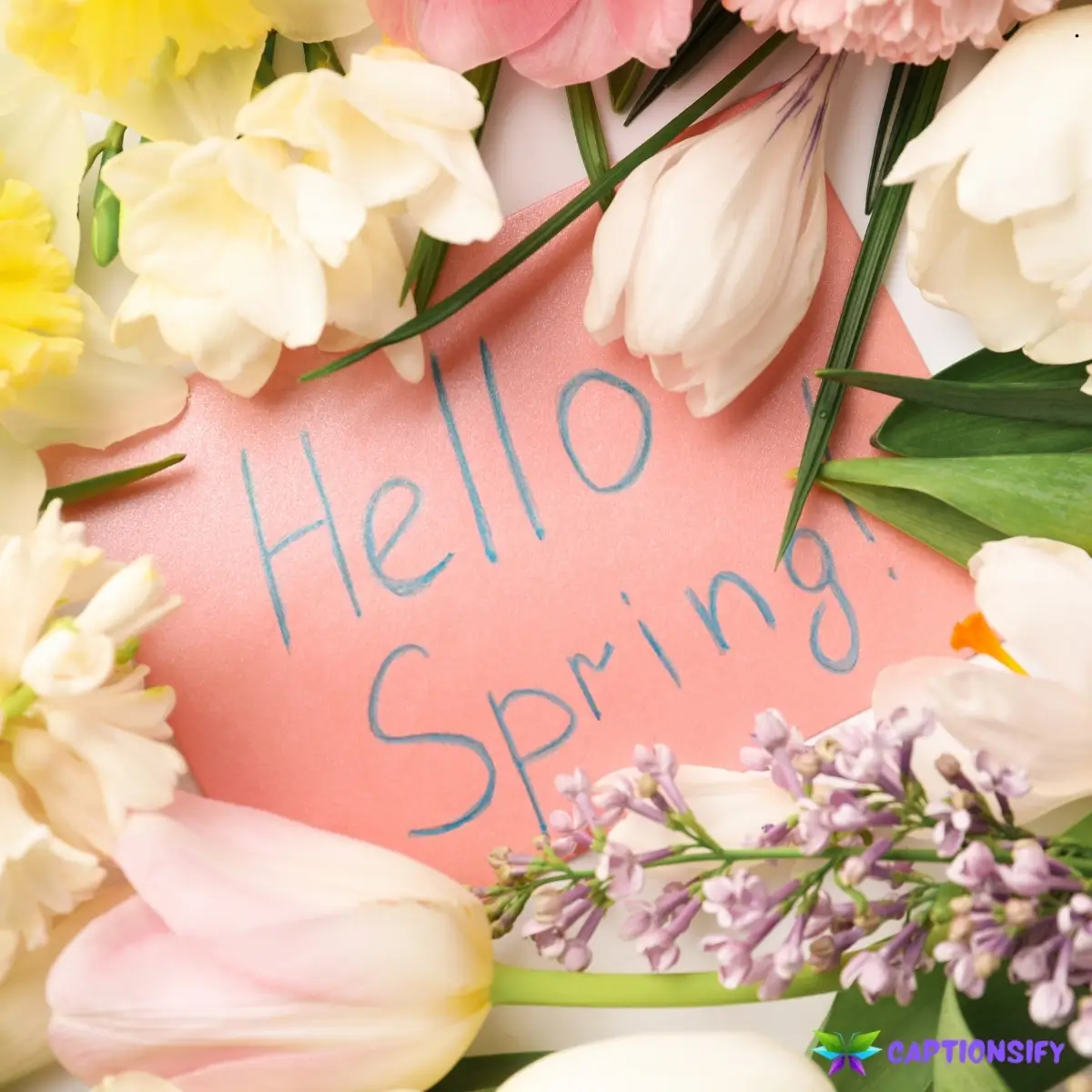 149 Best Spring Time Instagram Captions for Bright and Fresh Vibes