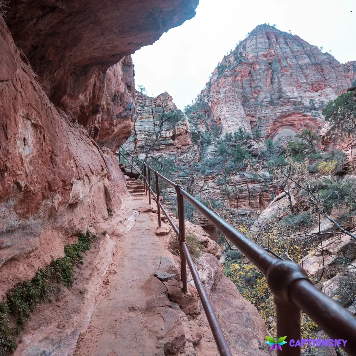 149 Top Zion National Park Instagram Captions for Your Adventures
