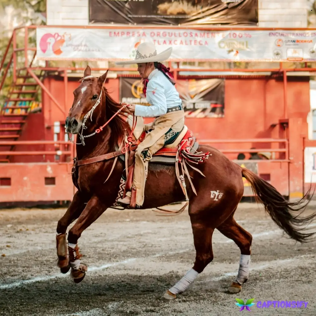 153 Top Rodeo Captions For Instagram to Boost Your Posts