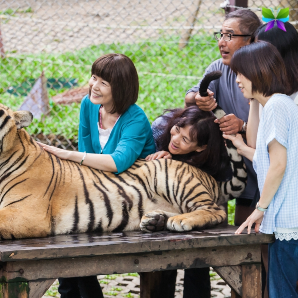 200+ Animal Kingdom Instagram Captions for Wild Moments 7 Animal Kingdom Instagram Captions