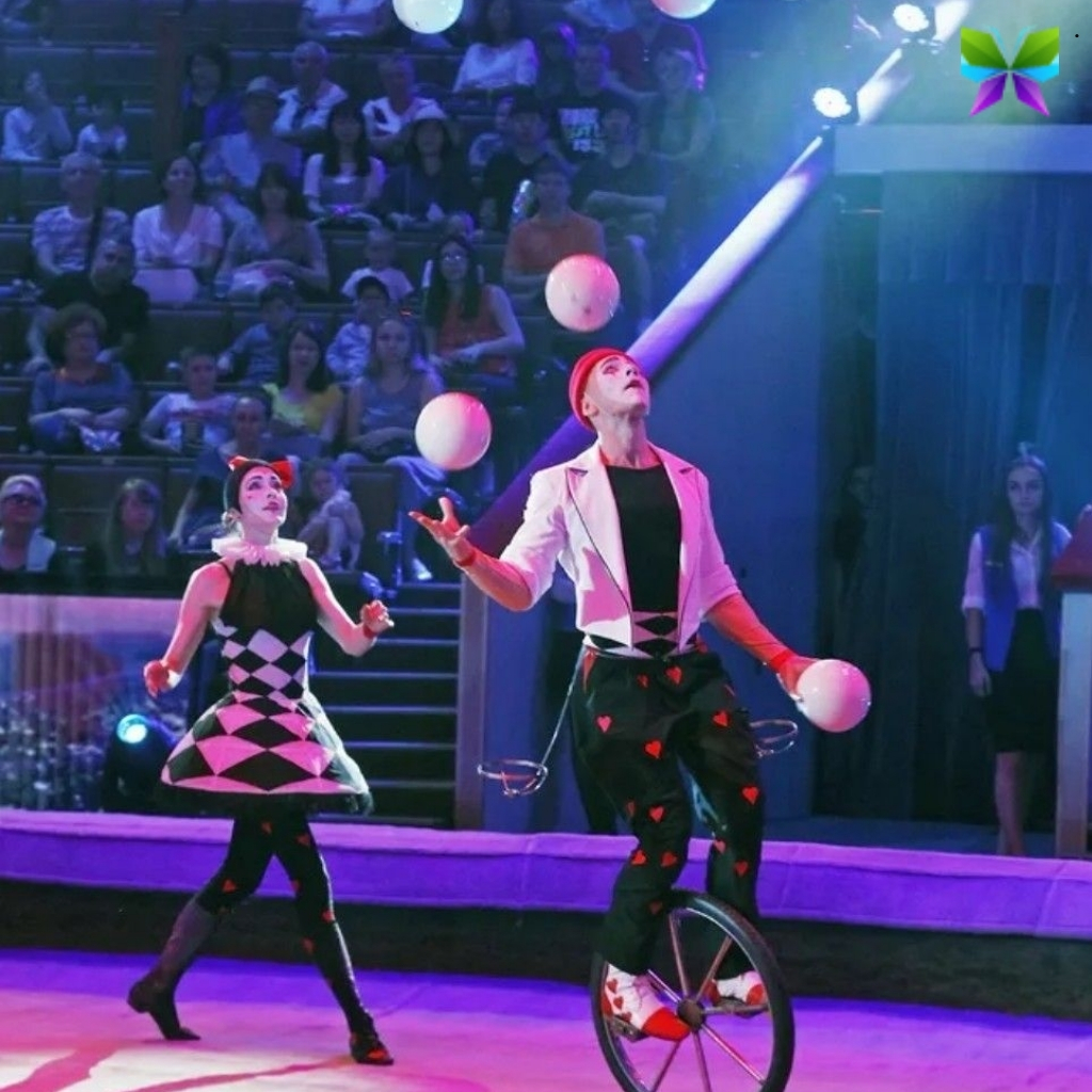 200+ Circus Captions For Instagram to Brighten Your Posts 2 Circus Captions For Instagram