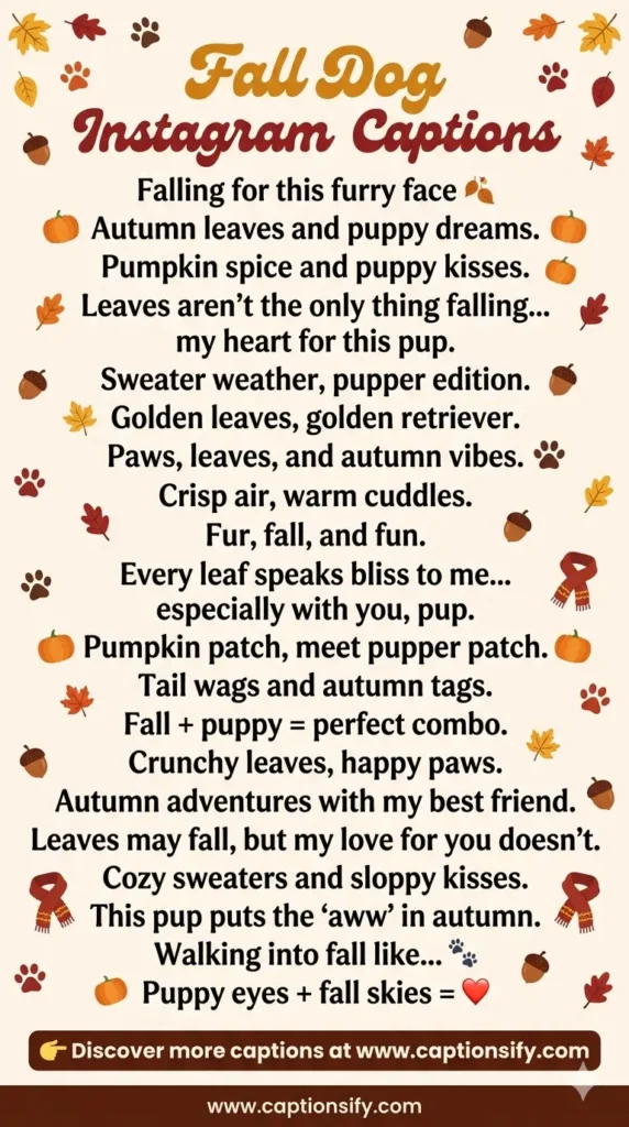 Funny Fall Dog Instagram Quotes for Autumn Fun