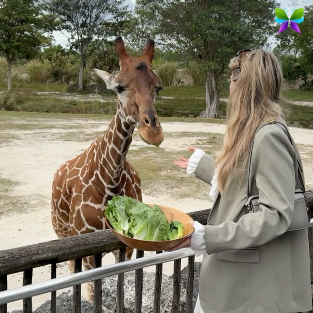 200+ Giraffe Instagram Captions for Your Wildest Posts 18 Giraffe Instagram Captions