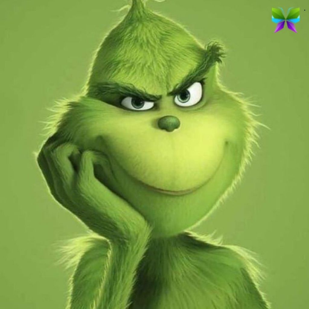 200+ Grinch Captions For Instagram to Celebrate Holiday Spirit 10 Grinch Captions For Instagram