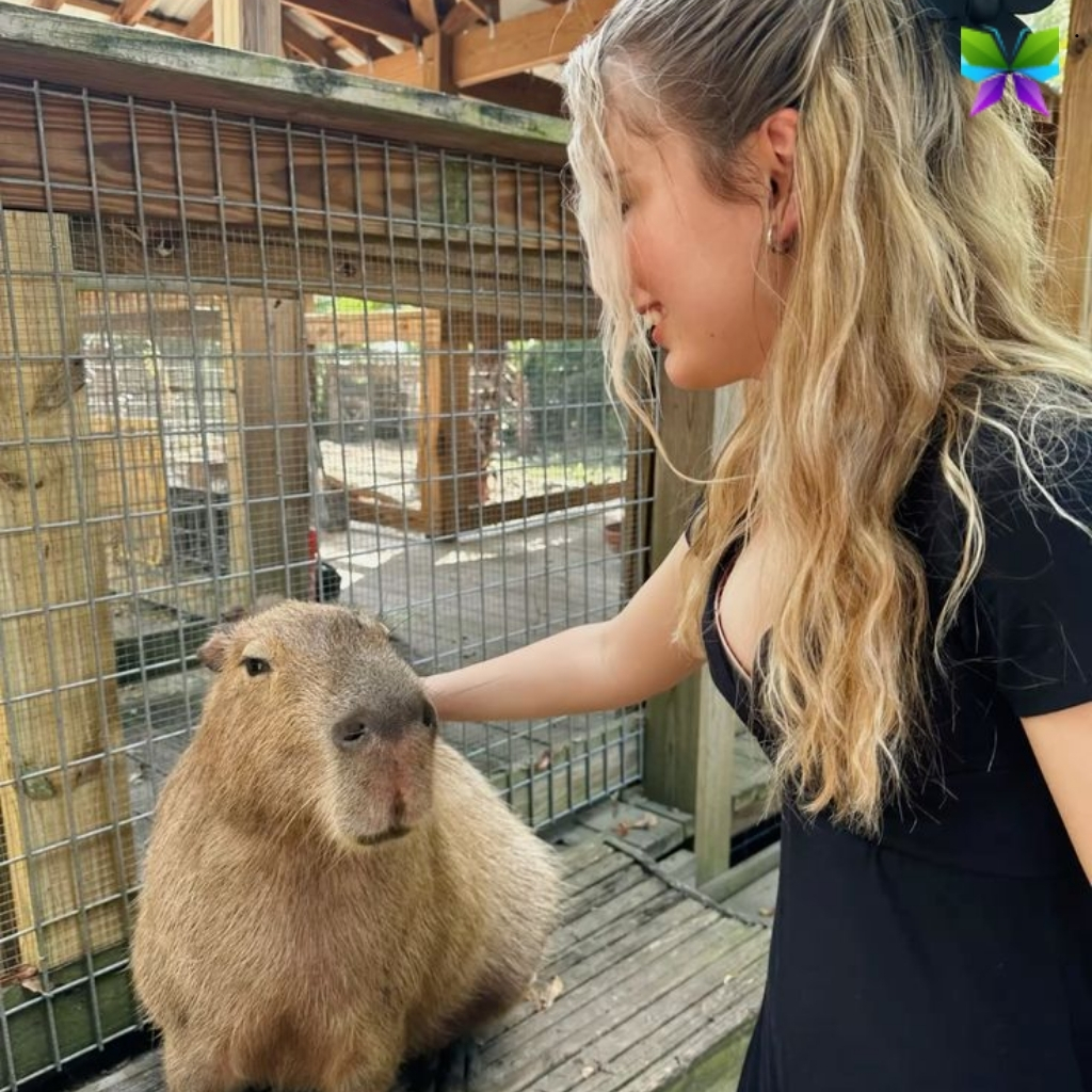 200+ Instagram Zoo Captions for Your Wild Adventures 2 Instagram Zoo Captions