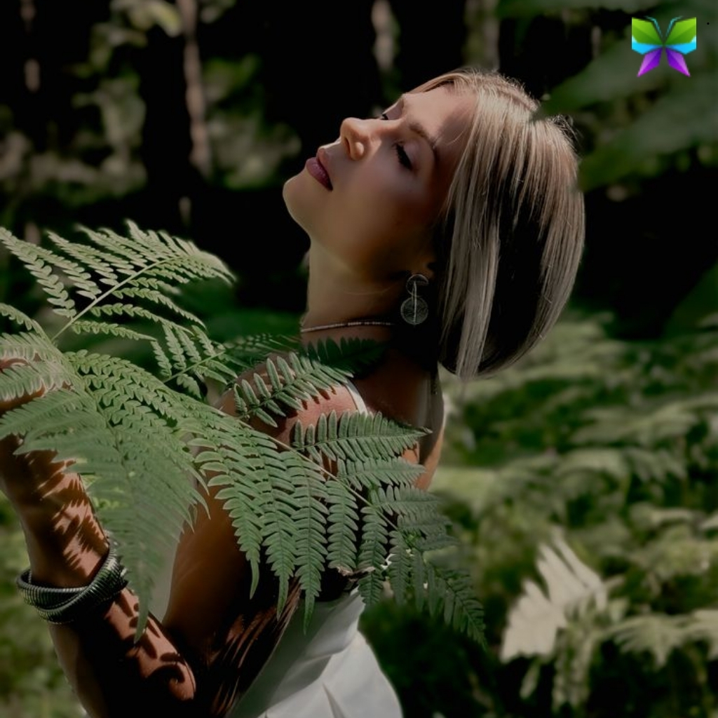 200+ Leaf Captions For Instagram Perfect for Nature Lovers 17 Leaf Captions For Instagram