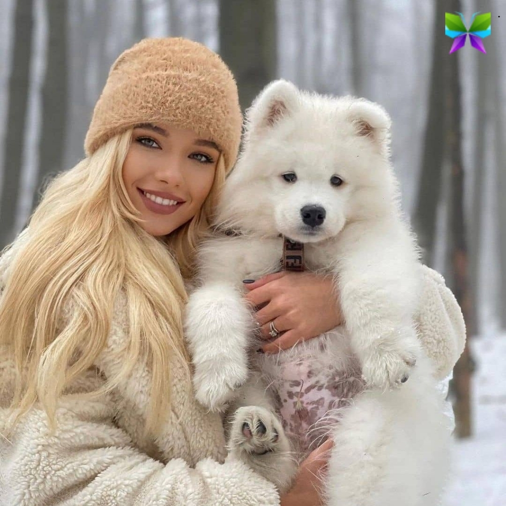 National Polar Bear Day Captions