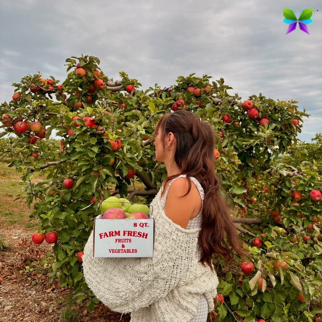 Orchard Instagram Captions