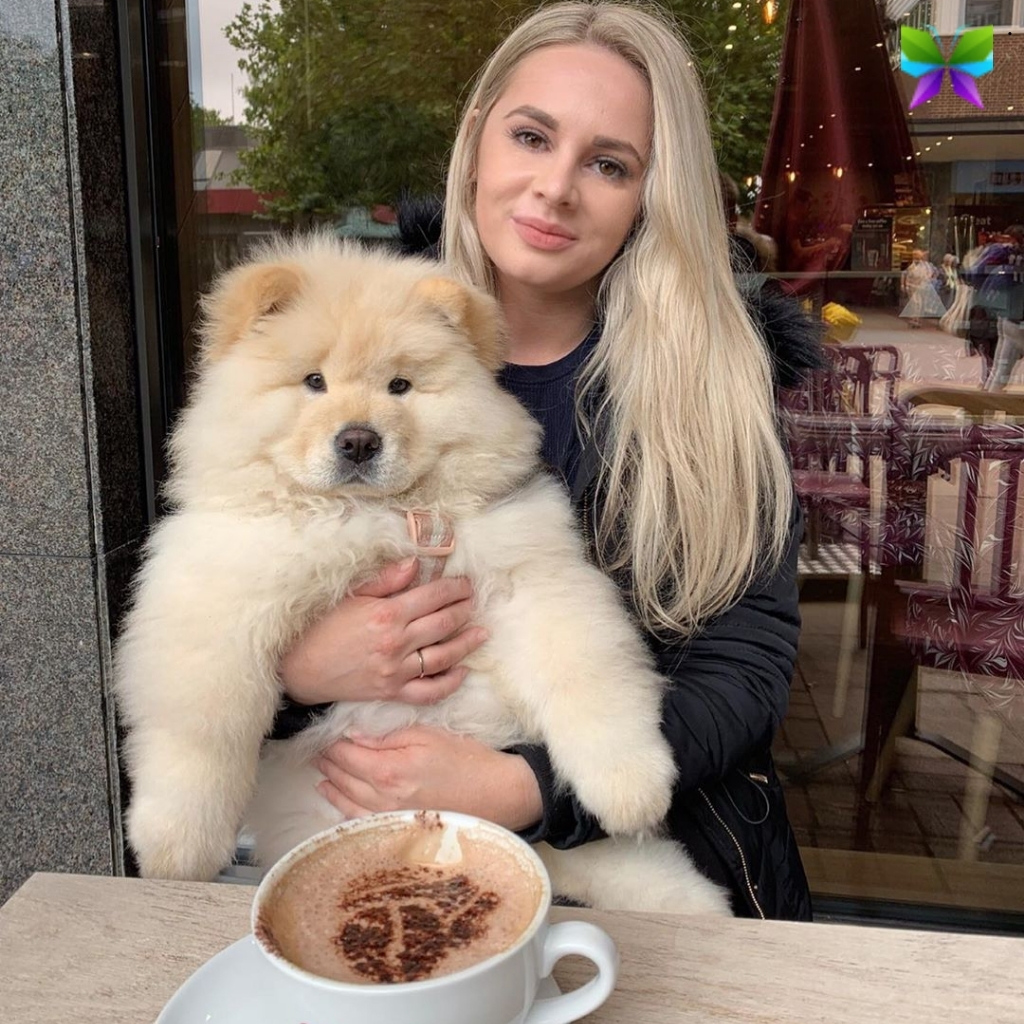 200+ Puppy Captions For Instagram to Brighten Your Feed 2 Puppy Captions For Instagram