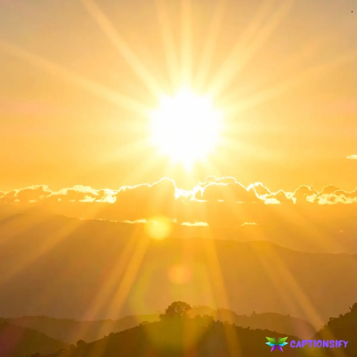 125 Best Sun Shine Captions For Instagram Brighten Your Feed