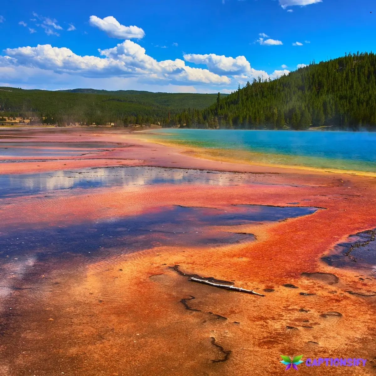 127 Top Yellowstone Instagram Captions for Your Wild Adventure