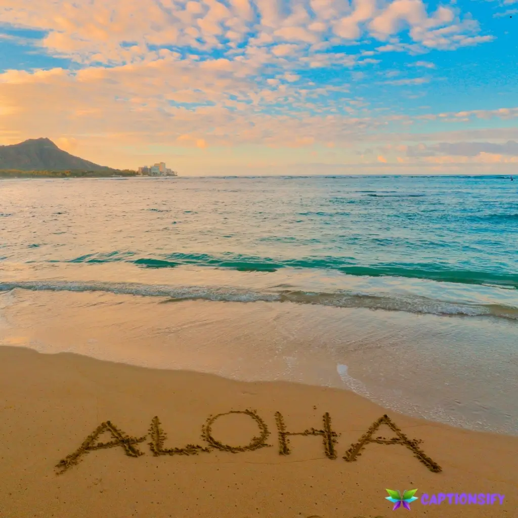 135 Top Aloha Captions For Instagram to Brighten Your Feed