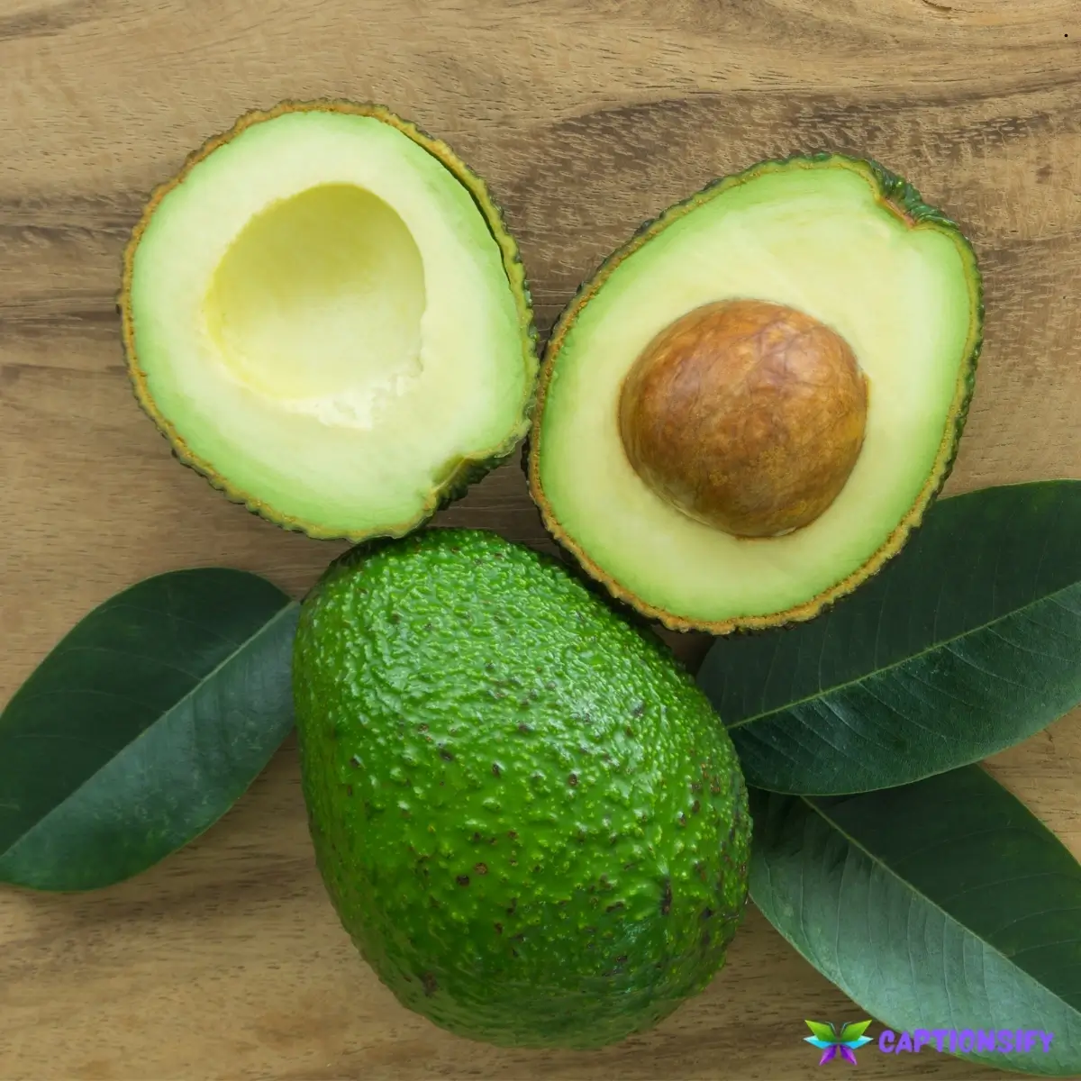 137 Fun Avocado Day Captions to Celebrate Your Favorite Fruit