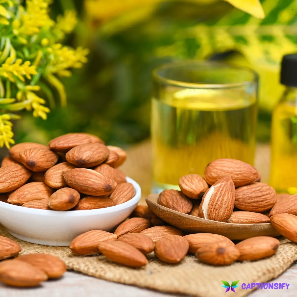 143 Best Almond Captions For Instagram Perfect for Your Feed