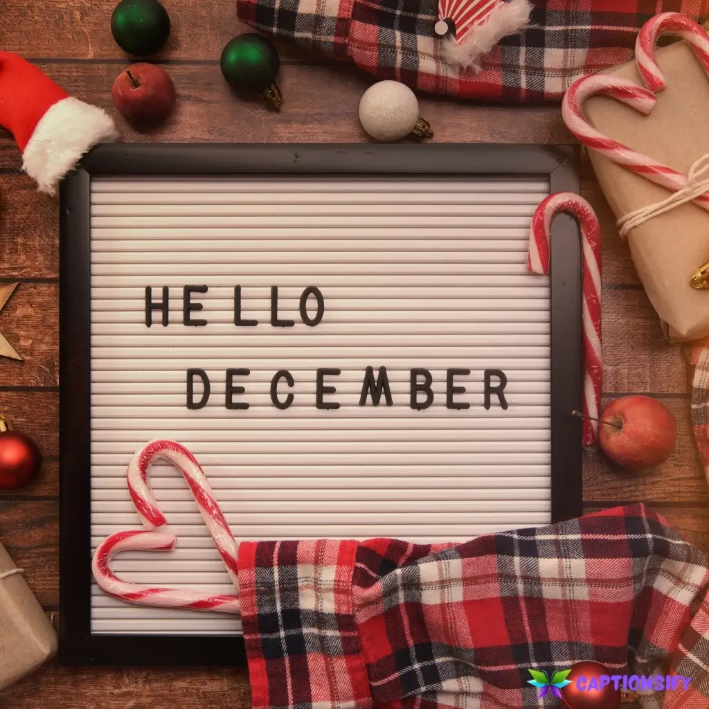 147 Best December Captions For Instagram Perfect for Your Holiday Posts