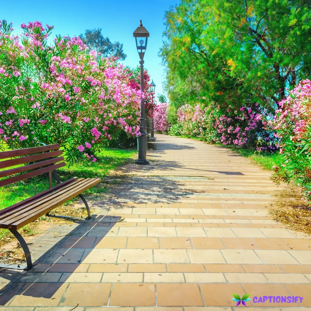 147 Best Park Captions For Instagram Perfect for Your Nature Moments