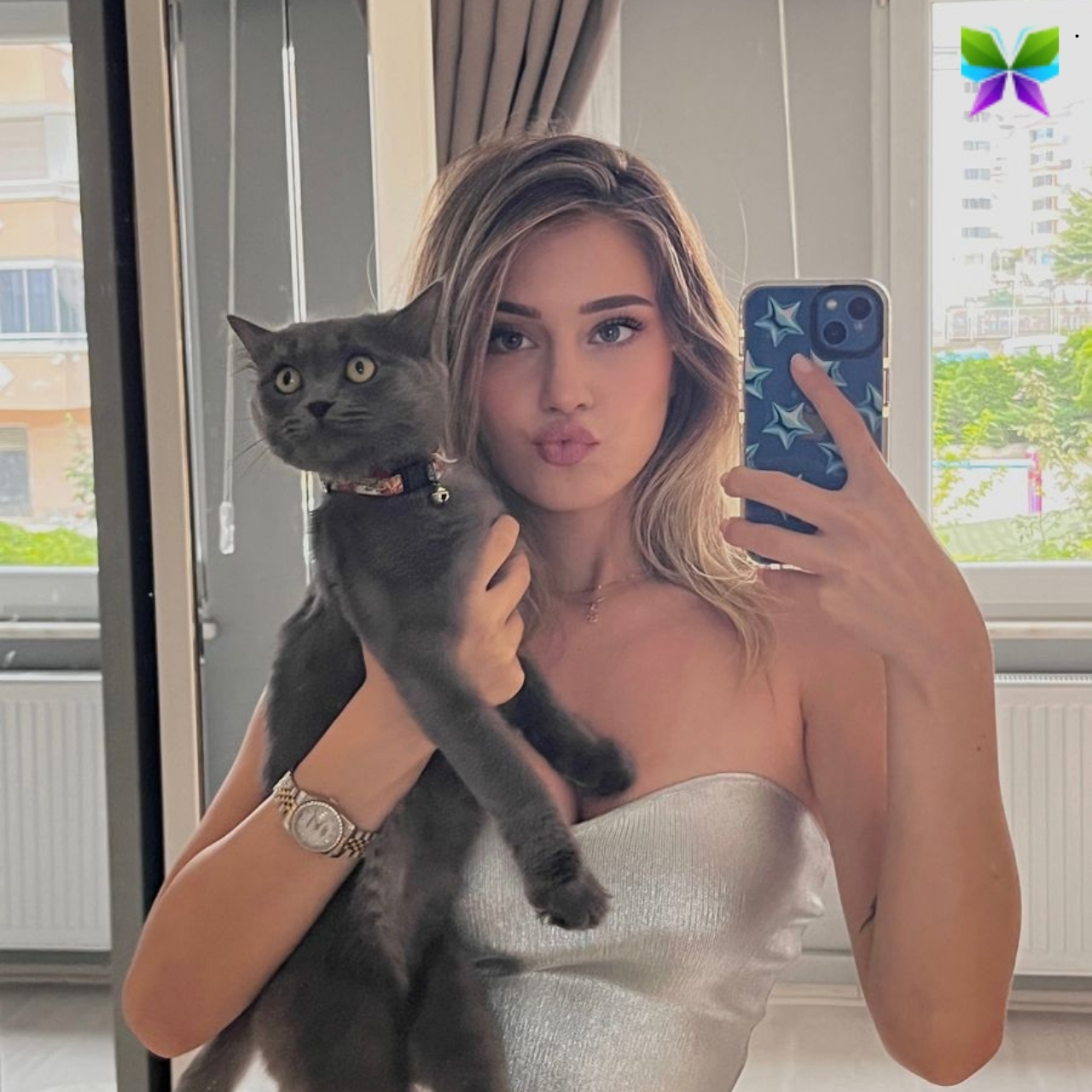 200+ Captions For Cats On Instagram to Make Your Feline Friend Shine 8 Captions For Cats On Instagram