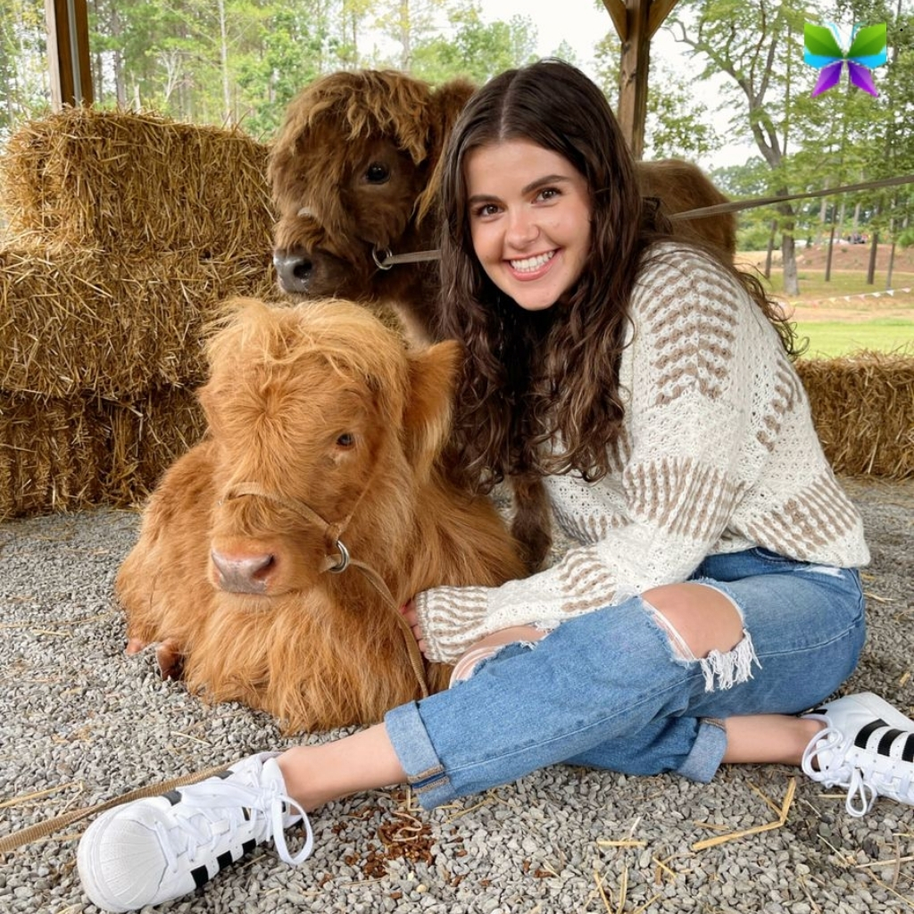 Cow Captions For Instagram